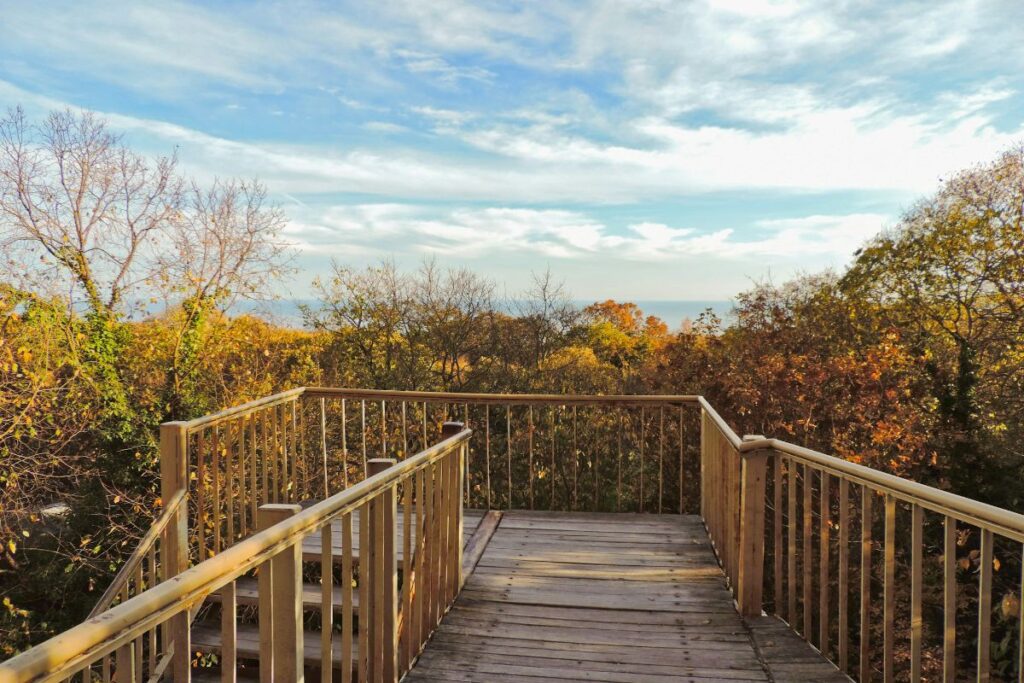 Wood Railings