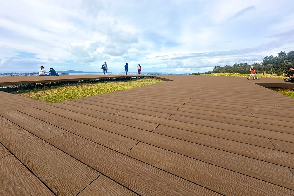 boardwalk and trails