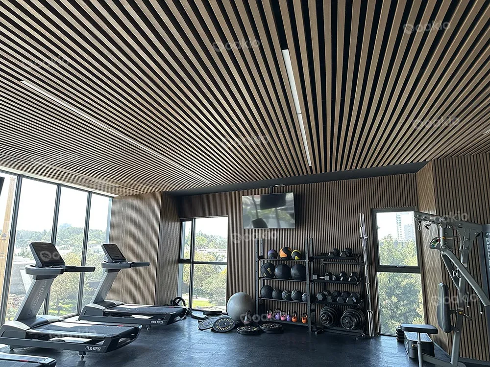 a mexico modern gym interior with oakio wpc panels